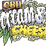 Cream & Cheese CBD 11 Feminised